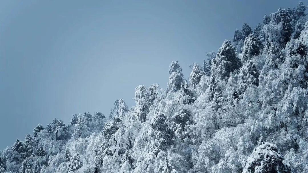 逃离狂热地带