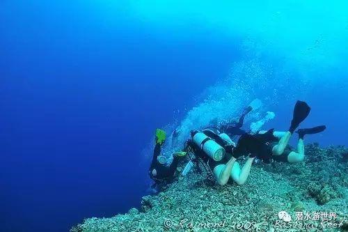 三个维度解读攀枝花农村集体经济的“致富密码”