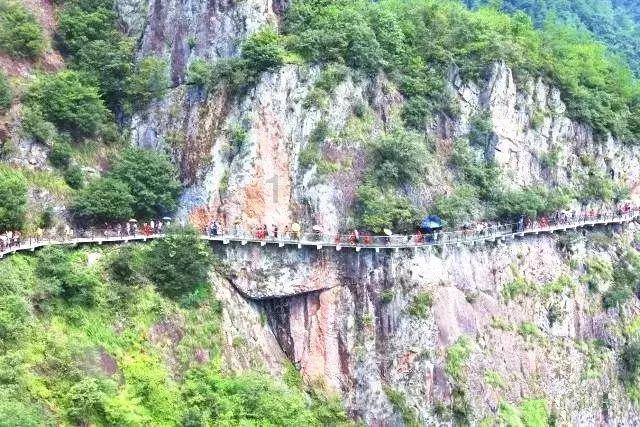 陈蓉委员：补链条建集群 加快“世界光谷”建设