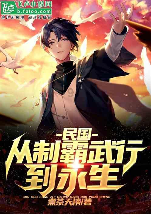 新高达破坏者