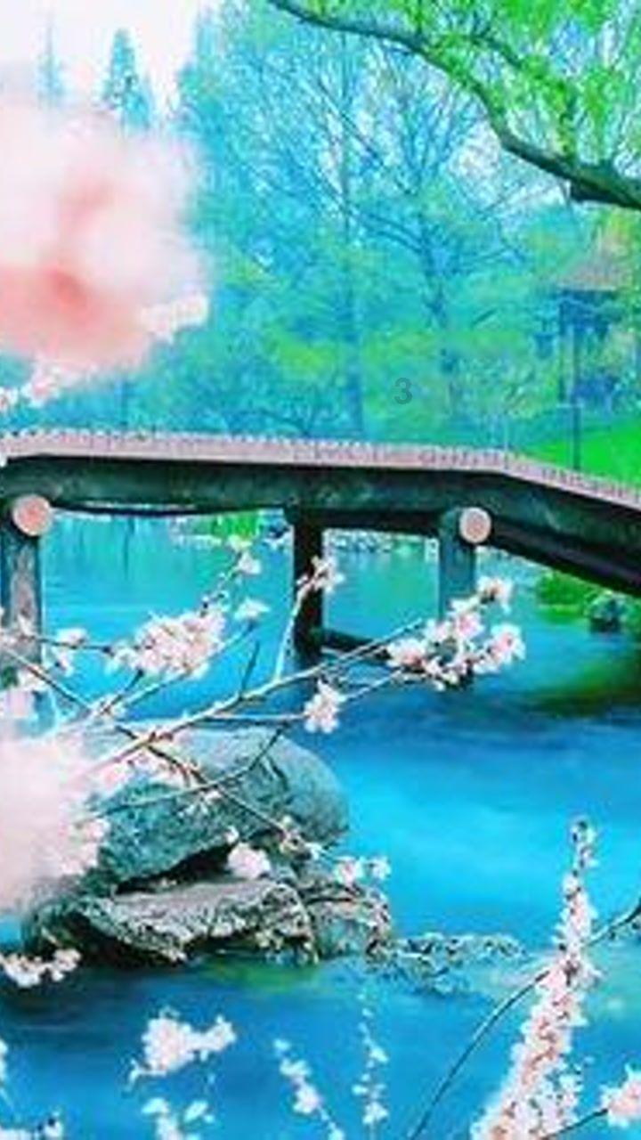 吴京人设崩塌,网友劝谢楠离婚?女方发声回应了
